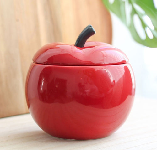 Apple Wax melt/Oil burner