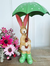 Load image into Gallery viewer, Brolly Rabbits