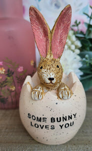 Some bunny Loves You Bunny