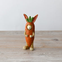 Load image into Gallery viewer, Bunny in Carrot Costume