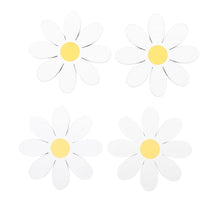 Load image into Gallery viewer, Daisy Collection