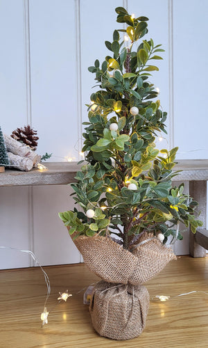 Eucalyptus and Snowberry Tree with lights