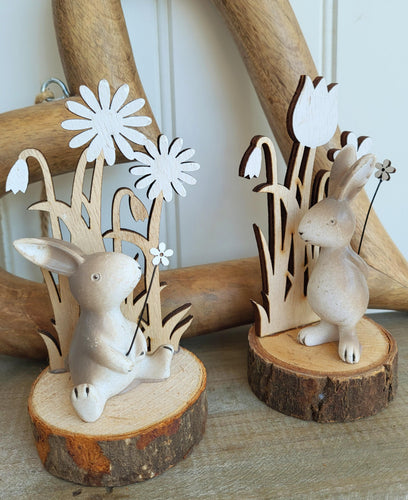 Log Slice Bunny Scene