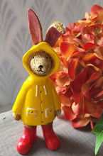 Load image into Gallery viewer, Rainy Day Bunny