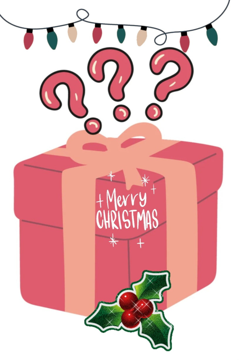 Mystery Christmas Box