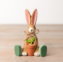 Load image into Gallery viewer, Gardening Bunnies