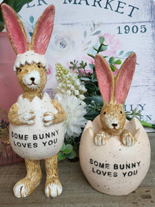 Some bunny Loves You Bunny