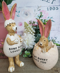 Some bunny Loves You Bunny