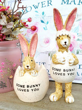 Load image into Gallery viewer, Some bunny Loves You Bunny