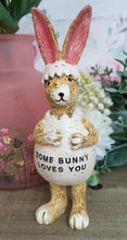 Load image into Gallery viewer, Some bunny Loves You Bunny
