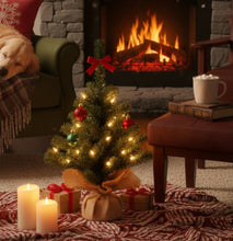 Load image into Gallery viewer, Indoor Imperial Mini Tree