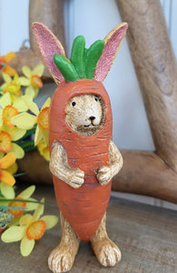 Bunny in Carrot Costume