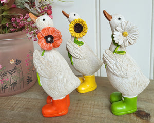 Ducks in Wellies