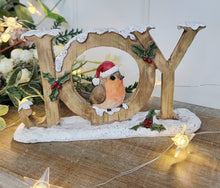 Load image into Gallery viewer, Robin JOY