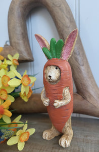 Bunny in Carrot Costume
