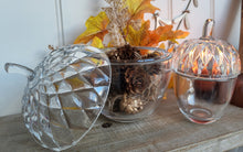 Load image into Gallery viewer, Acorn Glass Pots