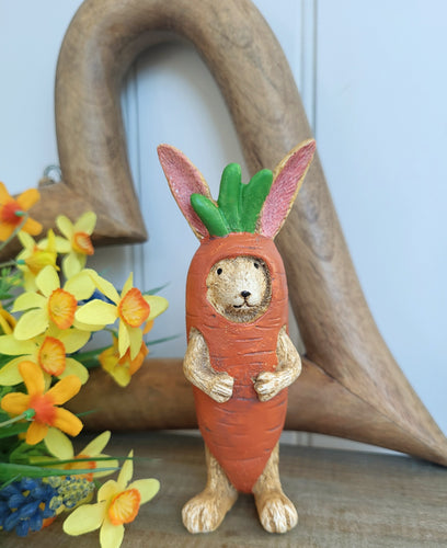 Bunny in Carrot Costume