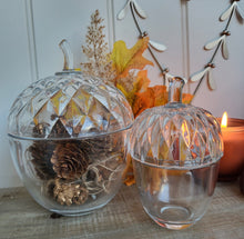 Load image into Gallery viewer, Acorn Glass Pots