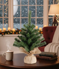 Load image into Gallery viewer, Indoor Imperial Mini Tree