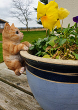 Load image into Gallery viewer, Plant Pot Pals