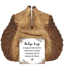 Load image into Gallery viewer, Hedgehugs Hedgehog Couple