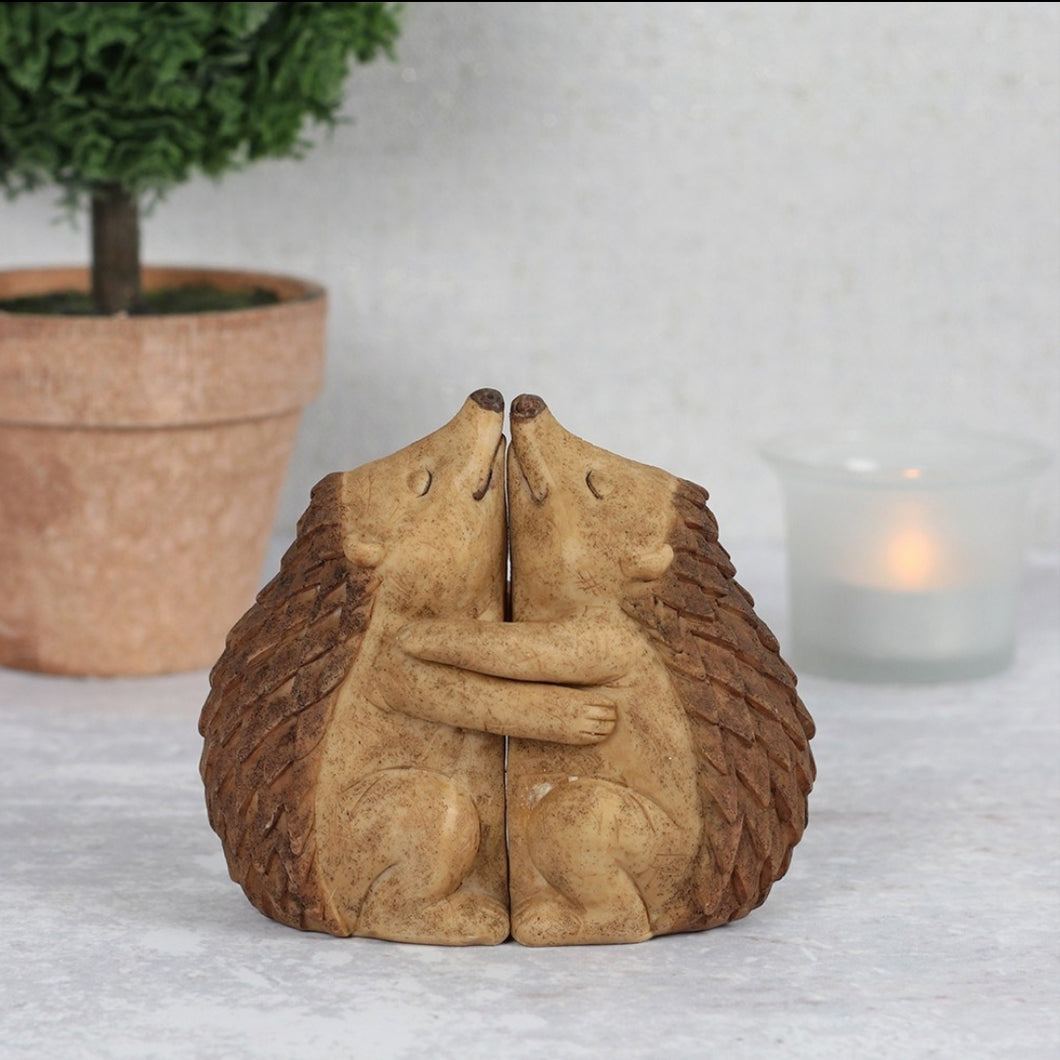 Hedgehugs Hedgehog Couple