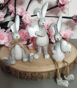 Grey Rabbits