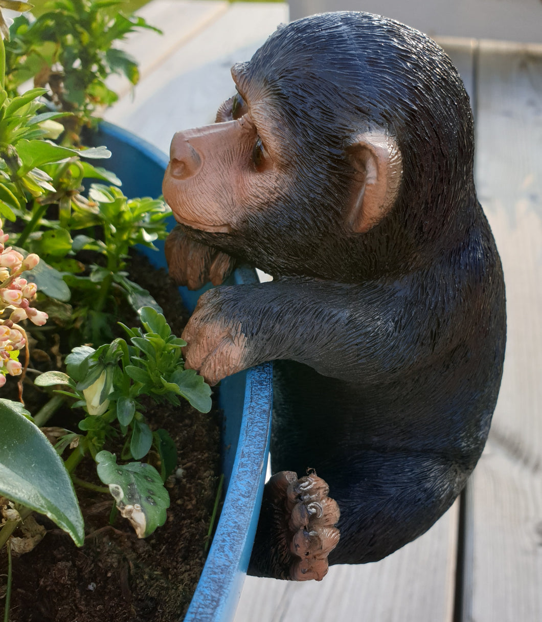 Plant pot pal - Baby Chimp