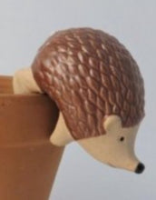 Load image into Gallery viewer, Hedgehog Plant Pot hanger