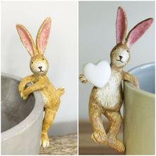 Load image into Gallery viewer, Rabbit Plant Pot Pal