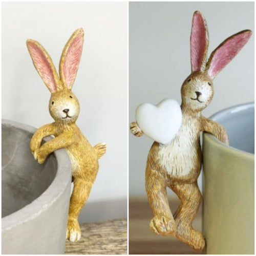 Rabbit Plant Pot Pal