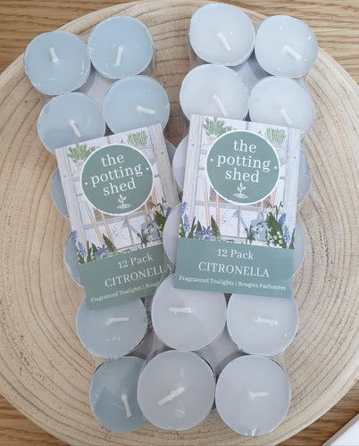Citronella Tea lights