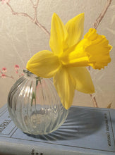 Load image into Gallery viewer, Bud Vases - set of 3 - Clear