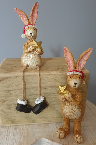 Santa Bunny holding Golden Star