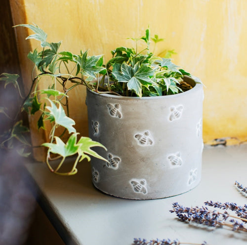 Bumble Bee Cement Plant Pot