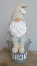 Load image into Gallery viewer, Flower Pot Gonks/Gnomes