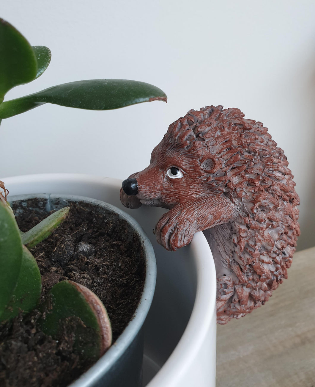 Hedgehog Pot hugger