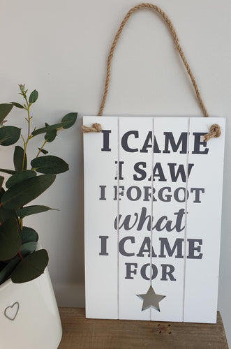 'I came, I saw, I forgot what i came for,' sign