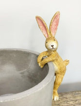 Load image into Gallery viewer, Rabbit Plant Pot Pal