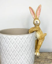 Load image into Gallery viewer, Rabbit Plant Pot Pal