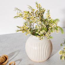 Load image into Gallery viewer, Large grooved Ball Vase