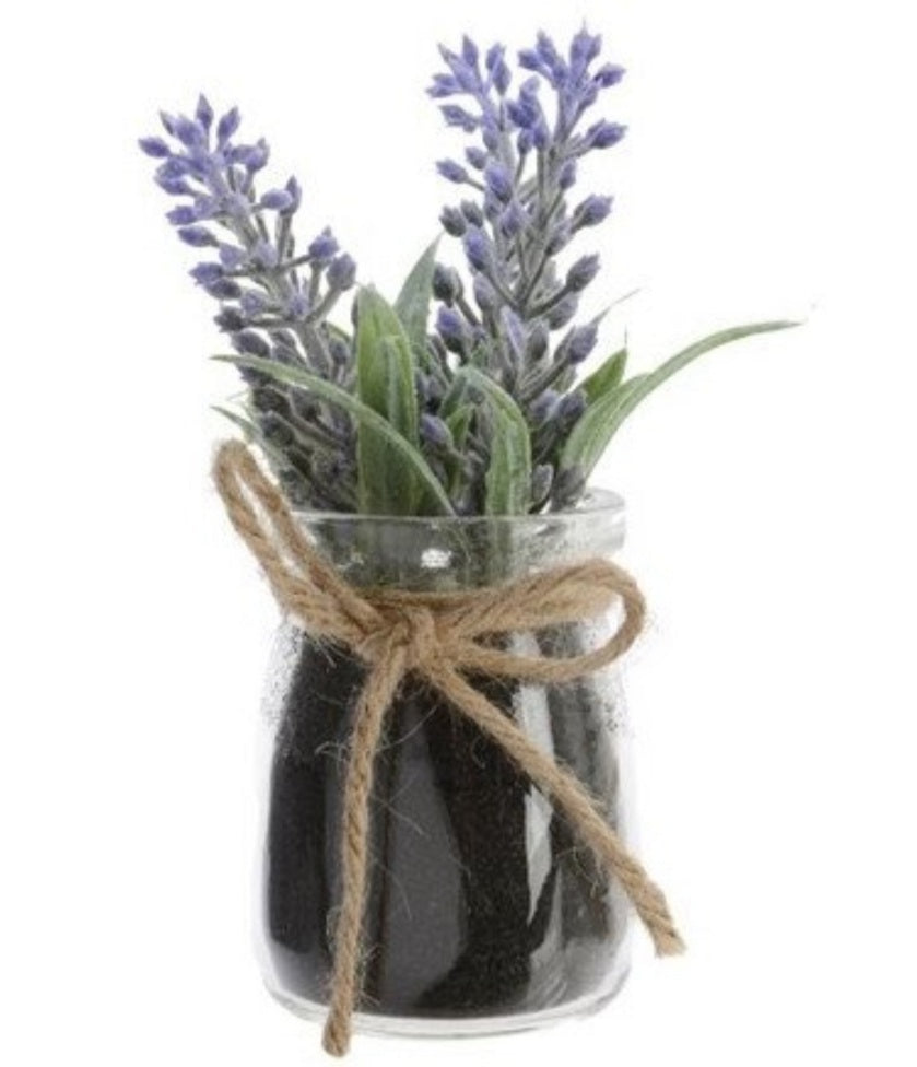Lavender Posy in Glass Pot
