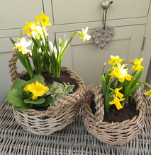 Load image into Gallery viewer, Rustic Round Baskets