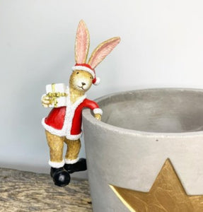Christmas Rabbit Plant pot Pals