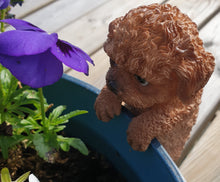 Load image into Gallery viewer, Puppy Pot Pal