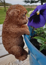 Load image into Gallery viewer, Puppy Pot Pal