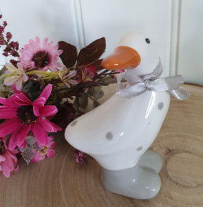 Ceramic Ducks