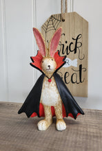 Load image into Gallery viewer, Halloween Bunnies