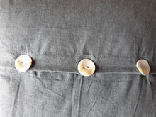 Load image into Gallery viewer, Grey Star Cushions