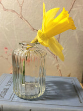 Load image into Gallery viewer, Bud Vases - set of 3 - Clear